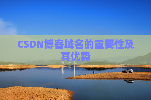 CSDN博客域名的重要性及其优势